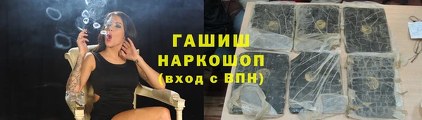 гидра Абаза