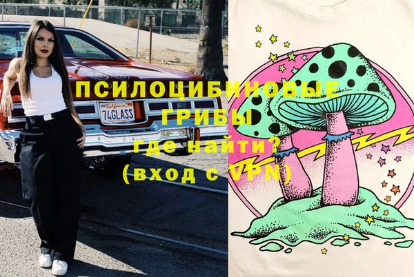 СК Абдулино