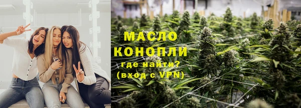 гидра Абаза
