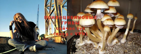 СК Абдулино